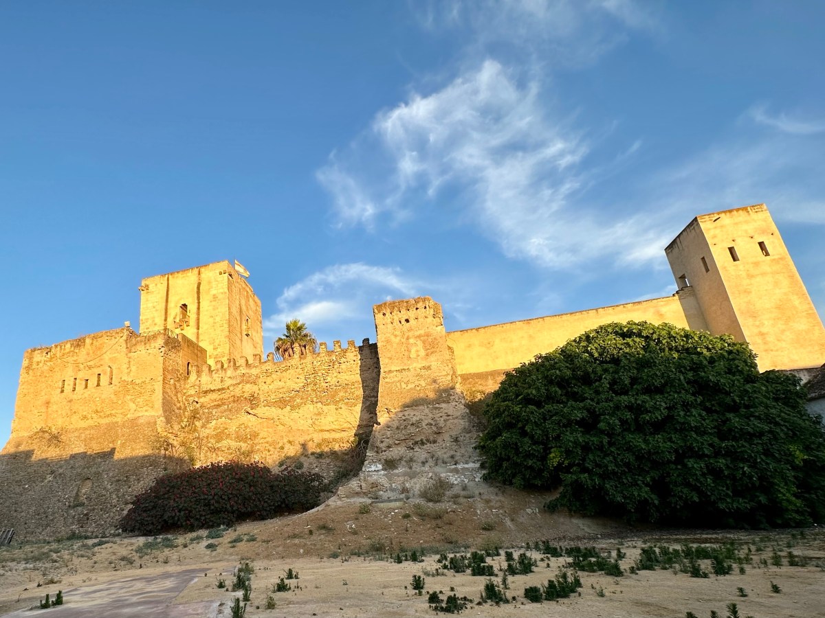 Via de la Plata Jour 3 …Utrera&nbsp;!