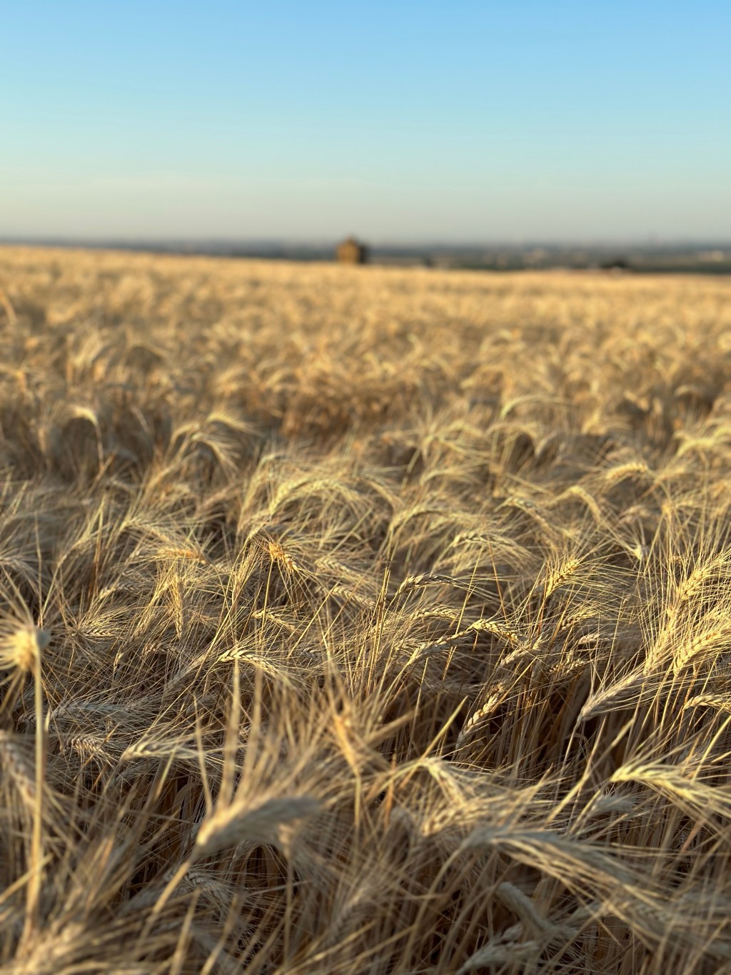 Jour 5 Guillena – Castiblanco de los&nbsp;arroyos.