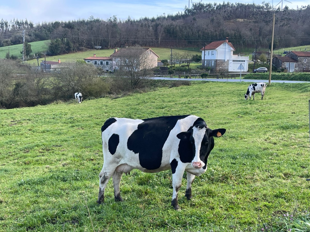 Espagne 3 Olveiroa –&nbsp;Negreira