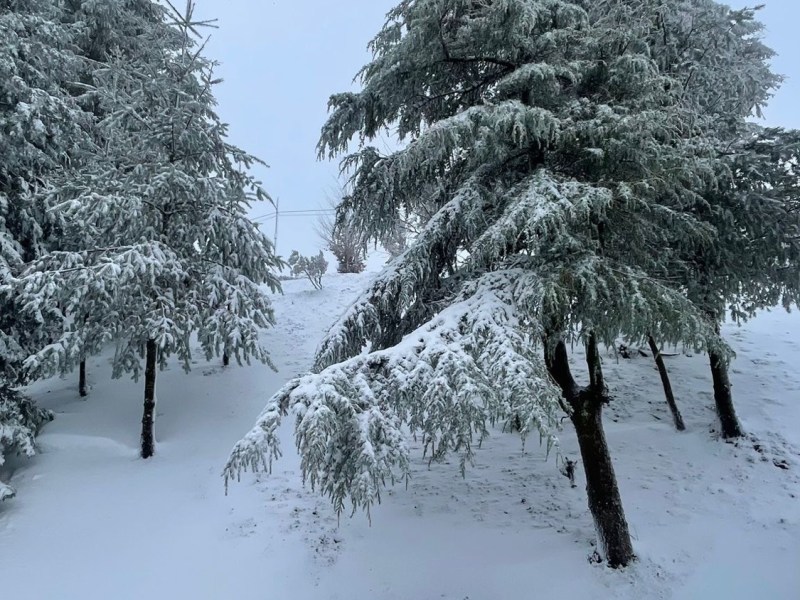 Espagne 12 Triacastela – O&nbsp;Cebreiro