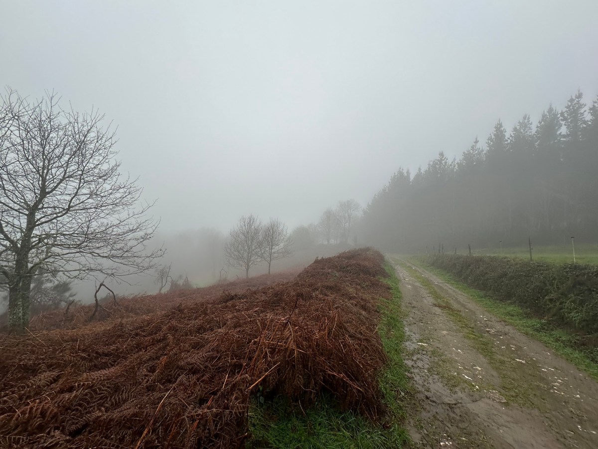 Espagne 11 Sarrià –&nbsp;Triacastela