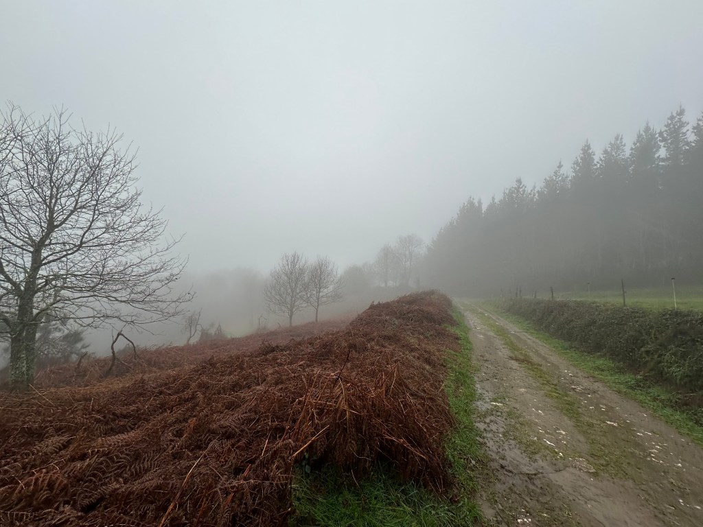 Espagne 11 Sarrià –&nbsp;Triacastela