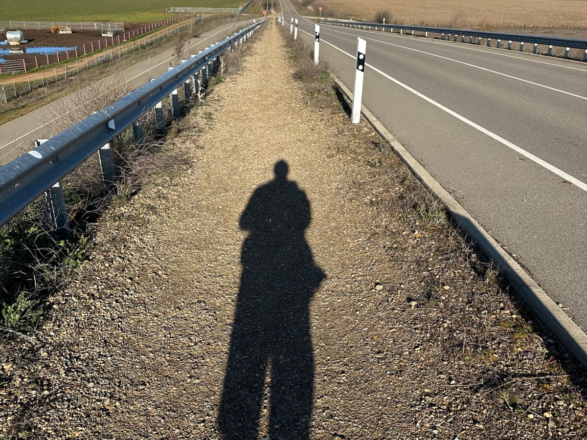 Espagne 21 Mansilla de las Mulas – Bercianos del Real&nbsp;Camino