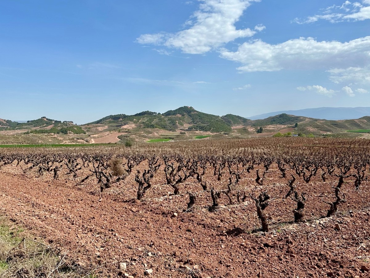 Espagne 32 Santo Domingo de la Calzada –&nbsp;Nájera