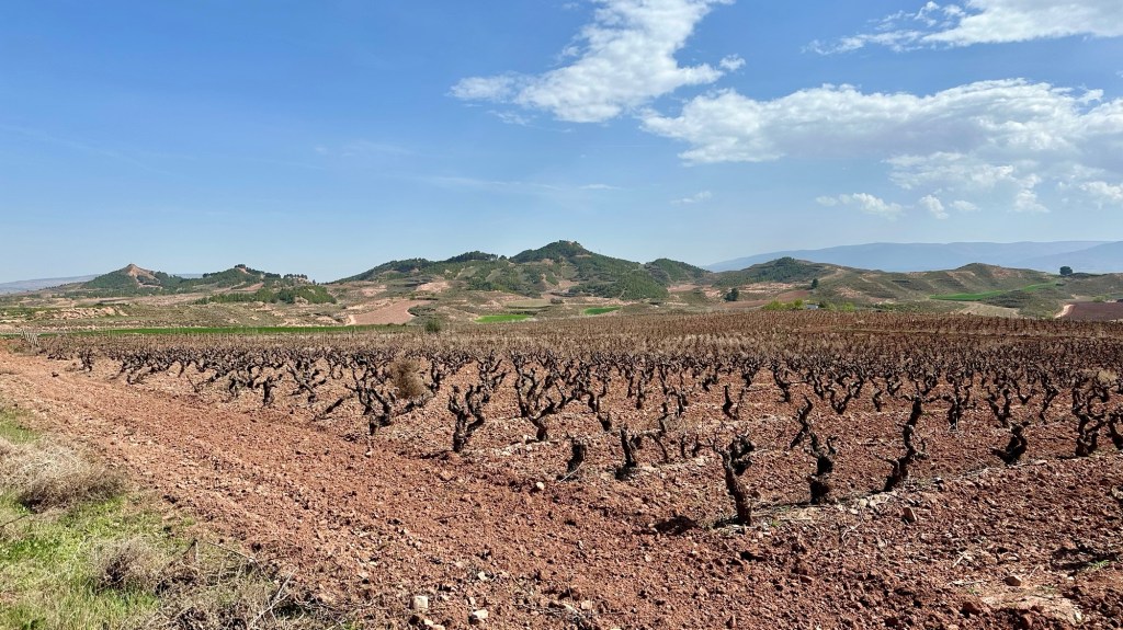 Espagne 32 Santo Domingo de la Calzada –&nbsp;Nájera