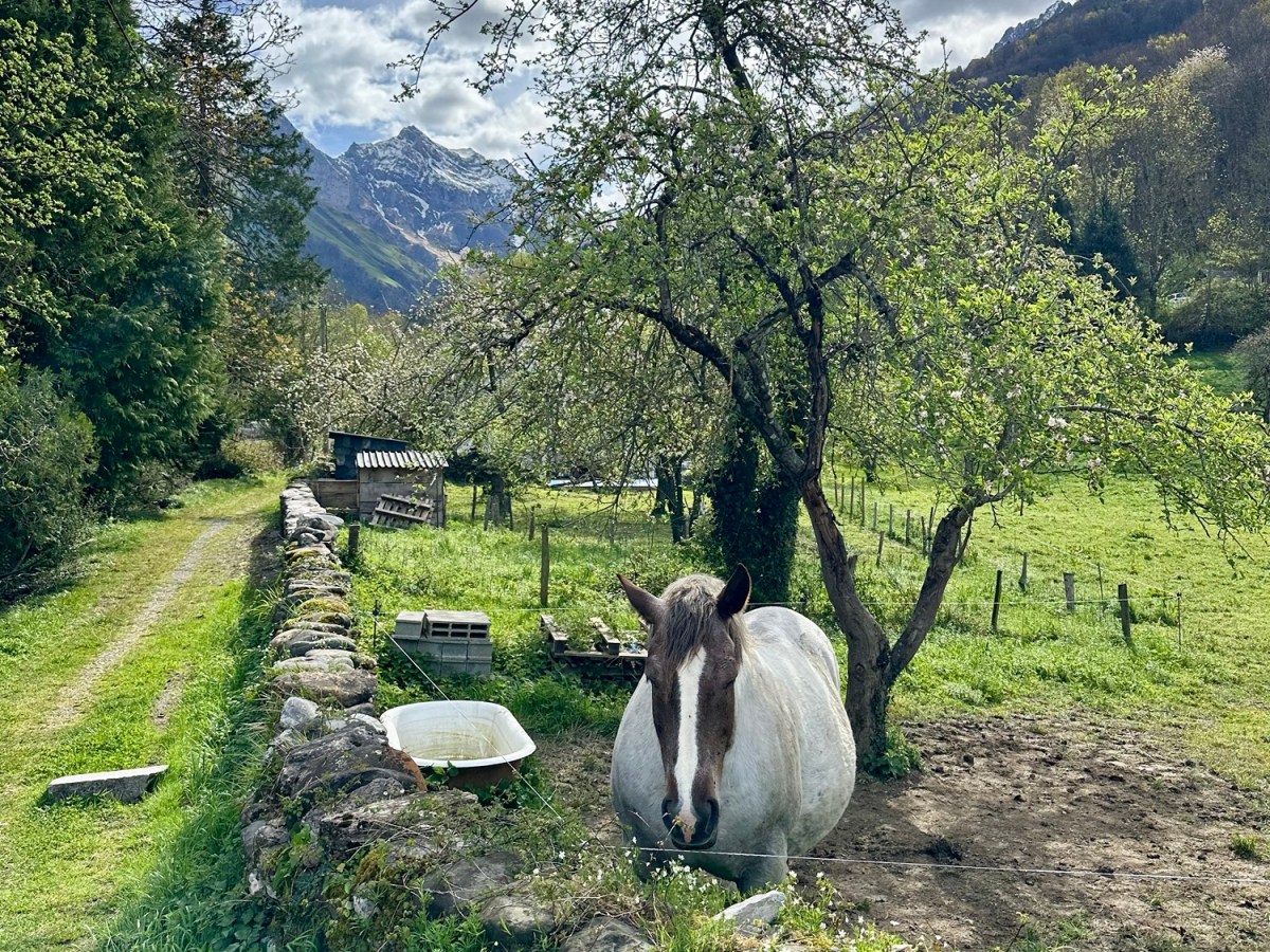 France 2 Urdos –&nbsp;Sarrance