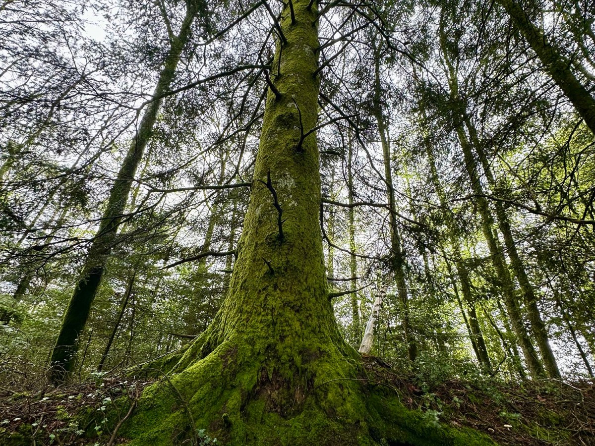 France 22 Boissezon –&nbsp;Angles