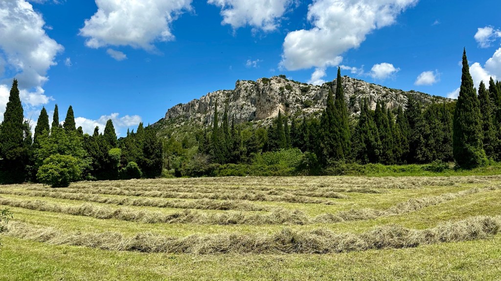 France 37 Paradou – Salon de Provence