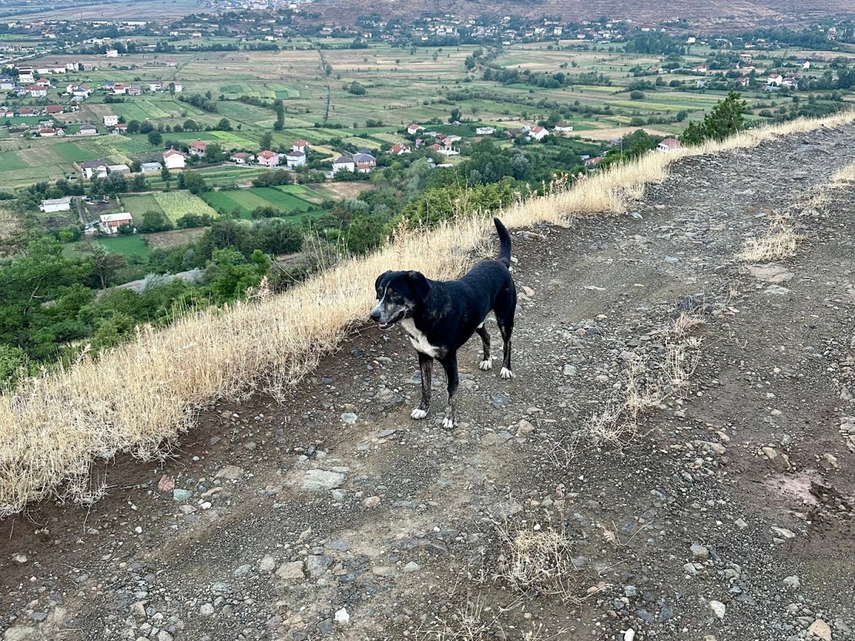 Macédoine 1 Prrenjas –&nbsp;Struga