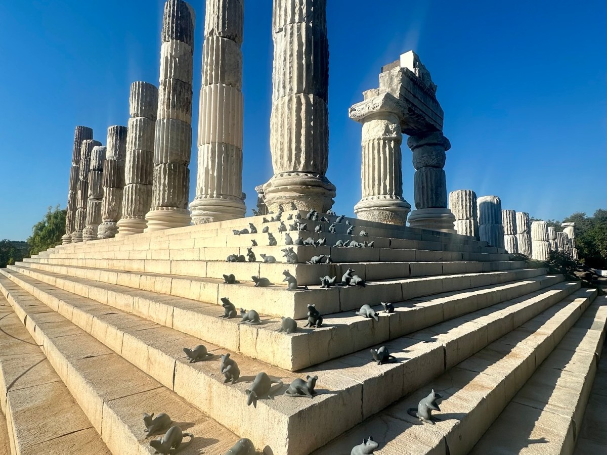 Turquie 11 Dalyan (Alexandria Troas) –&nbsp;Gülpinar