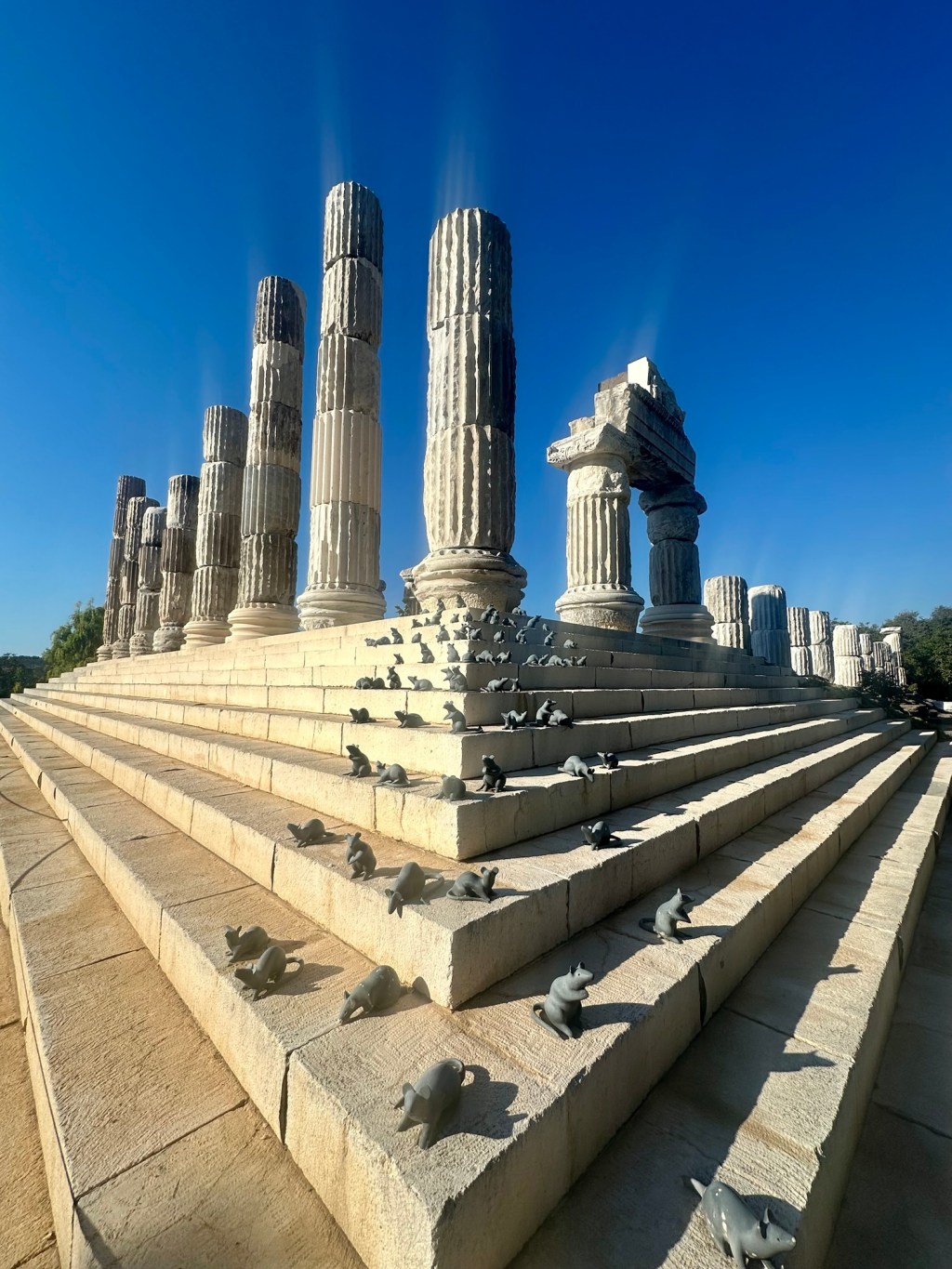 Turquie 11 Dalyan (Alexandria Troas) – Gülpinar