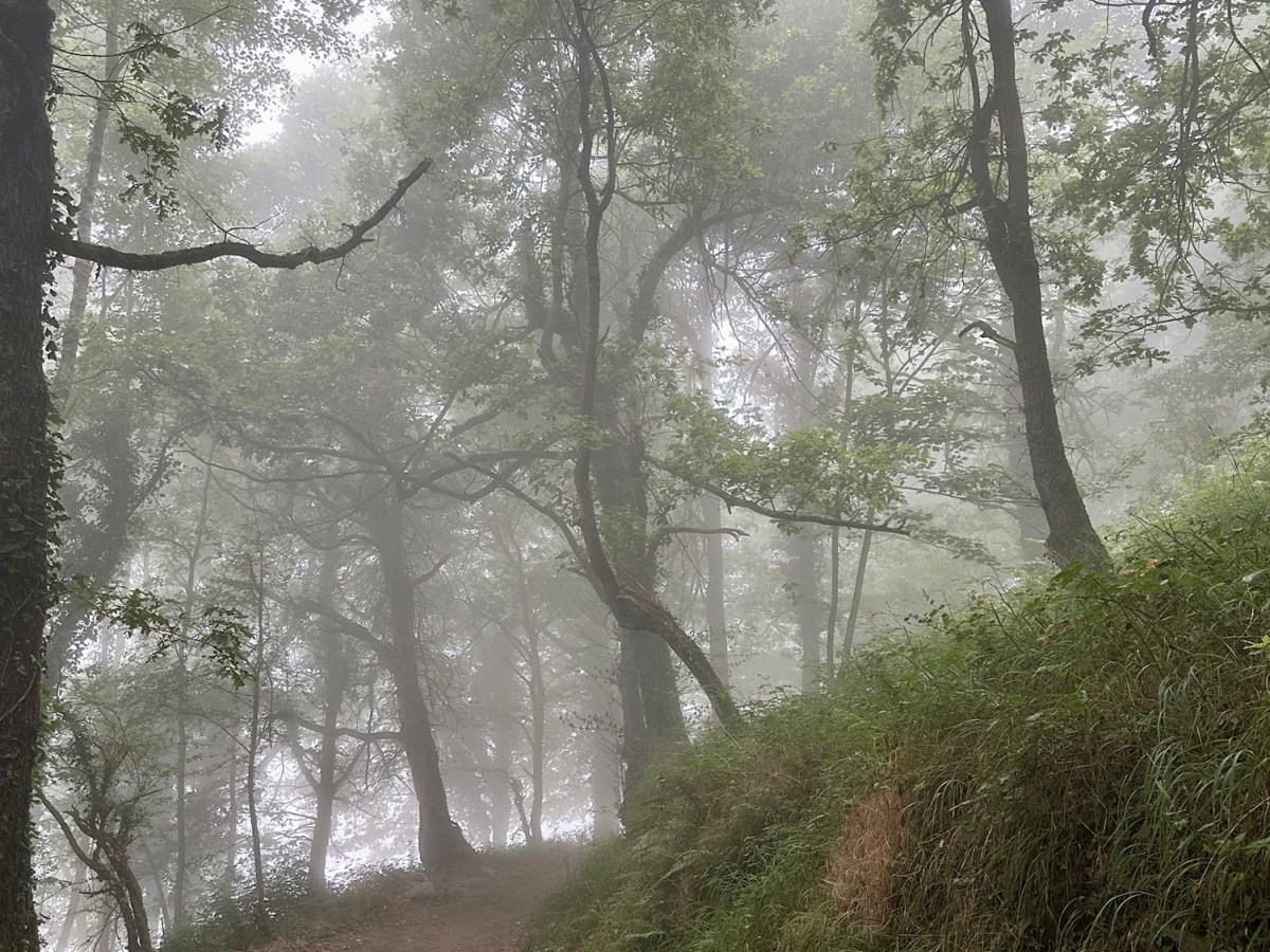 Primitivo 5 Tinéu – Colinas de&nbsp;Arriba