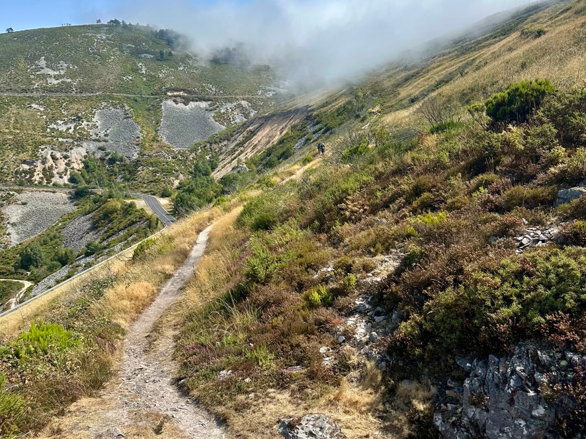 Primitivo 6 Colinas de Arriba –&nbsp;Berducedo