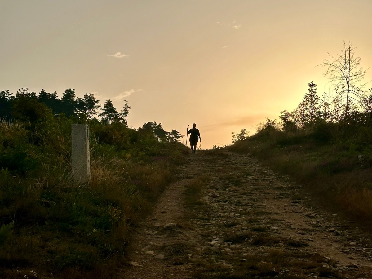 Primitivo 9 Fonsagrada – O&nbsp;Cádavo