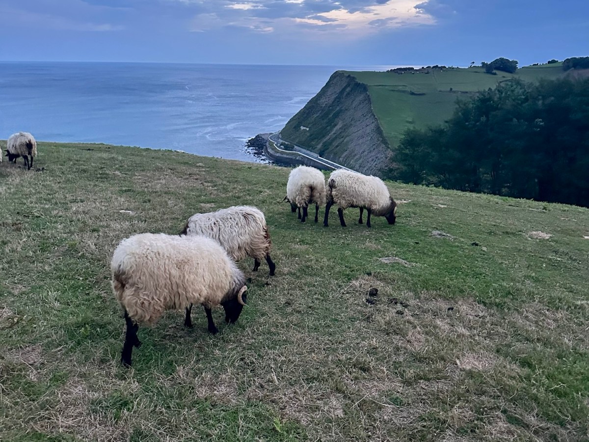 Norte 6 Getaria –&nbsp;Guipúzkoa