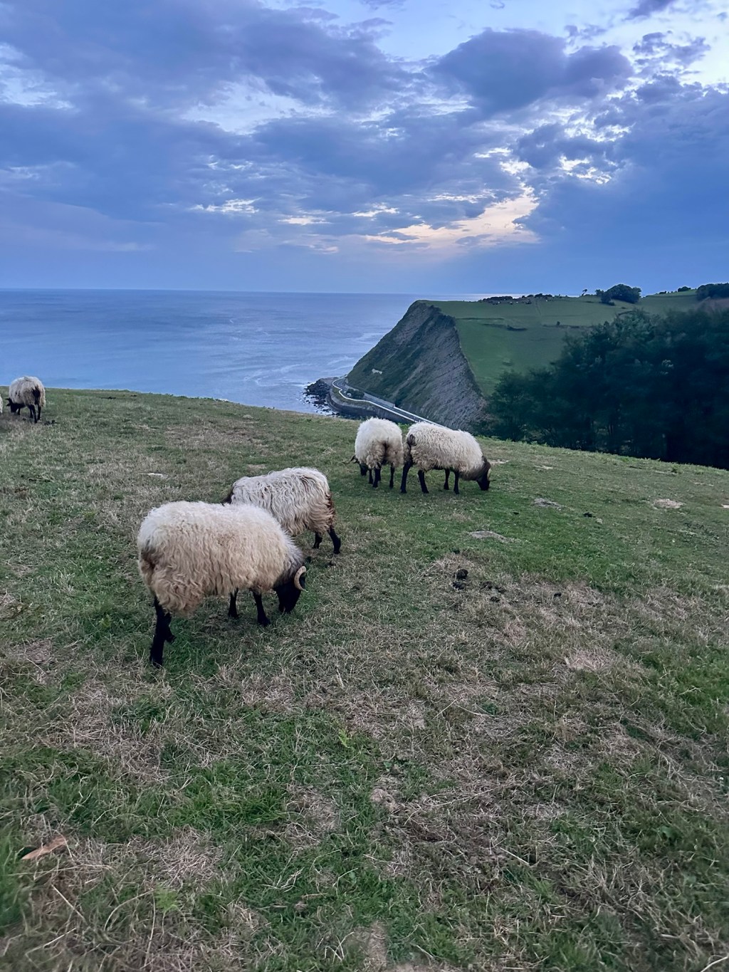 Norte 6 Getaria – Guipúzkoa