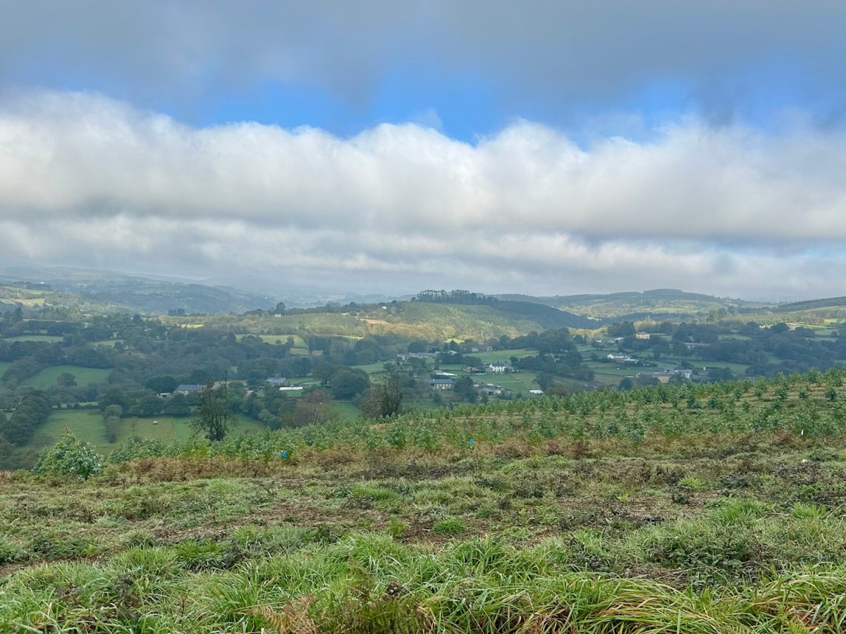 Norte 30 Villanova – As&nbsp;Paredes