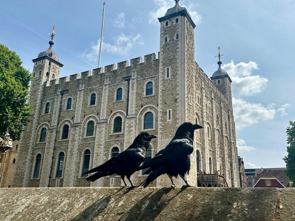 Francigena 0 Londres