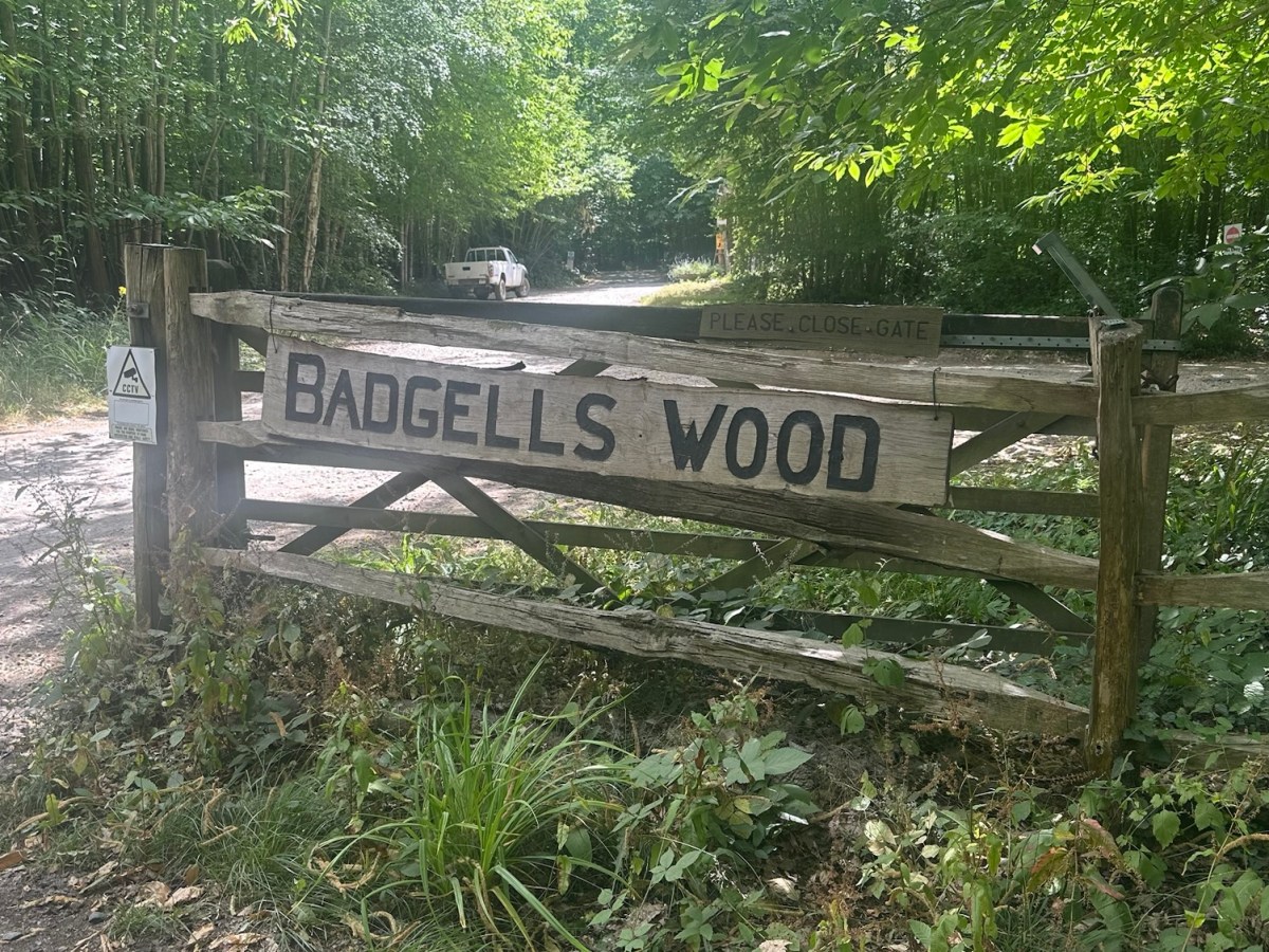 Francigena 2 Dartford-Badgells Wood