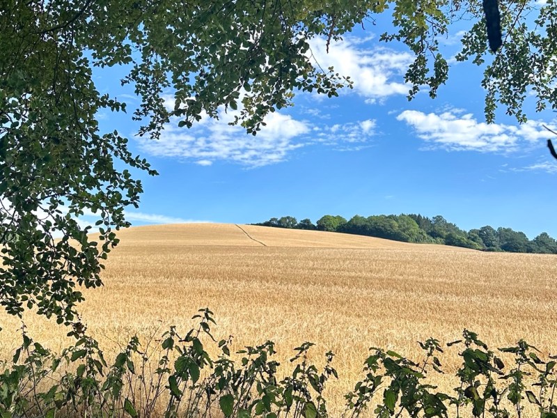 Francigena 4 St Mary the Virgin Church, Thurnham – Dunn Street Farm&nbsp;Campsite