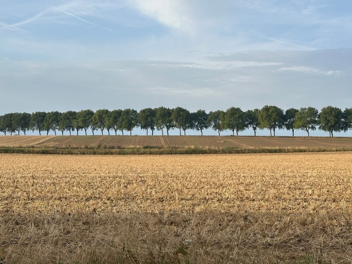 Francigena 15 Peronne – Seraucourt le&nbsp;Grand