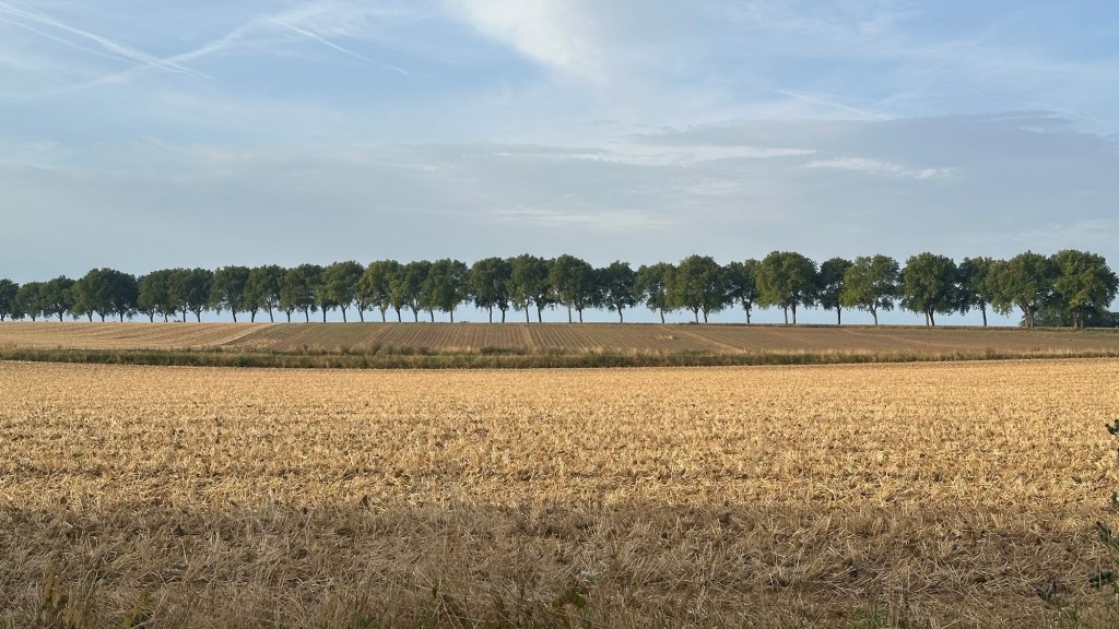 Francigena 15 Peronne – Seraucourt le&nbsp;Grand