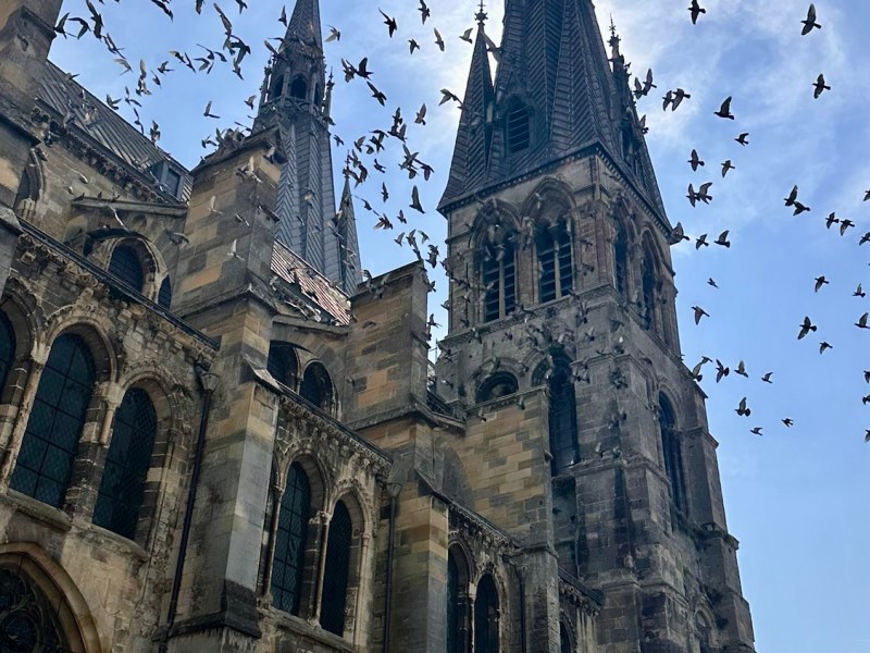 Francigena 21 bis Chalons en&nbsp;Champagne