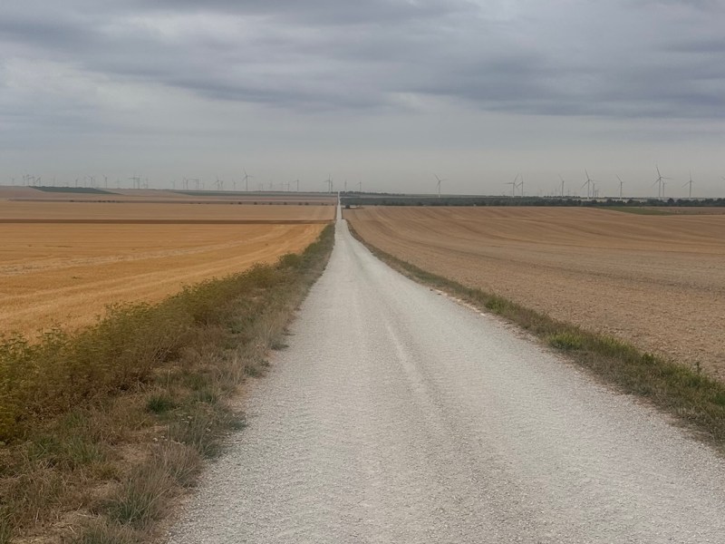 Francigena 22 Chalons en Champagne –&nbsp;Coole