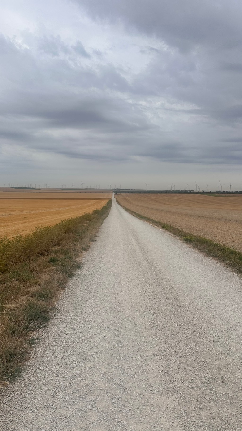 Francigena 22 Chalons en Champagne –&nbsp;Coole