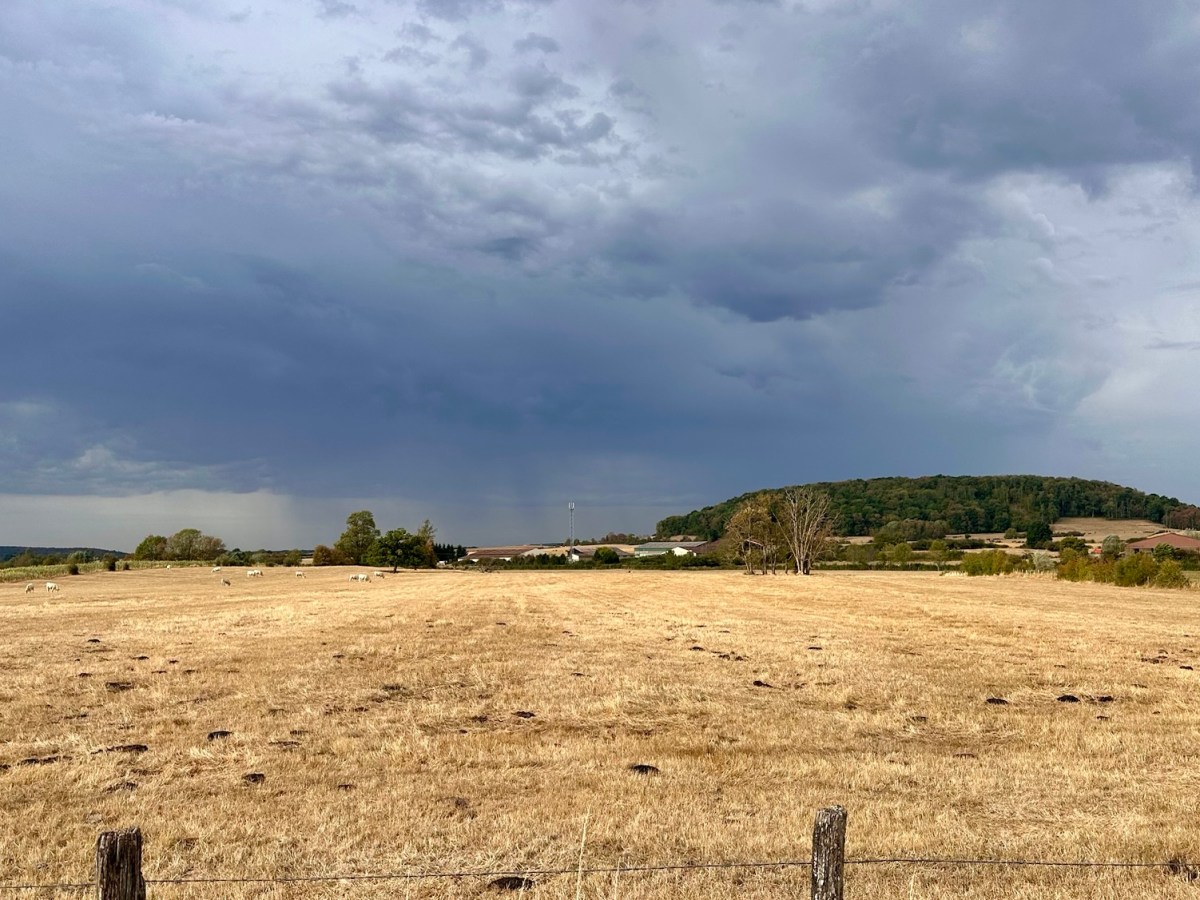 Francigena 29 Langres –&nbsp;Leffond