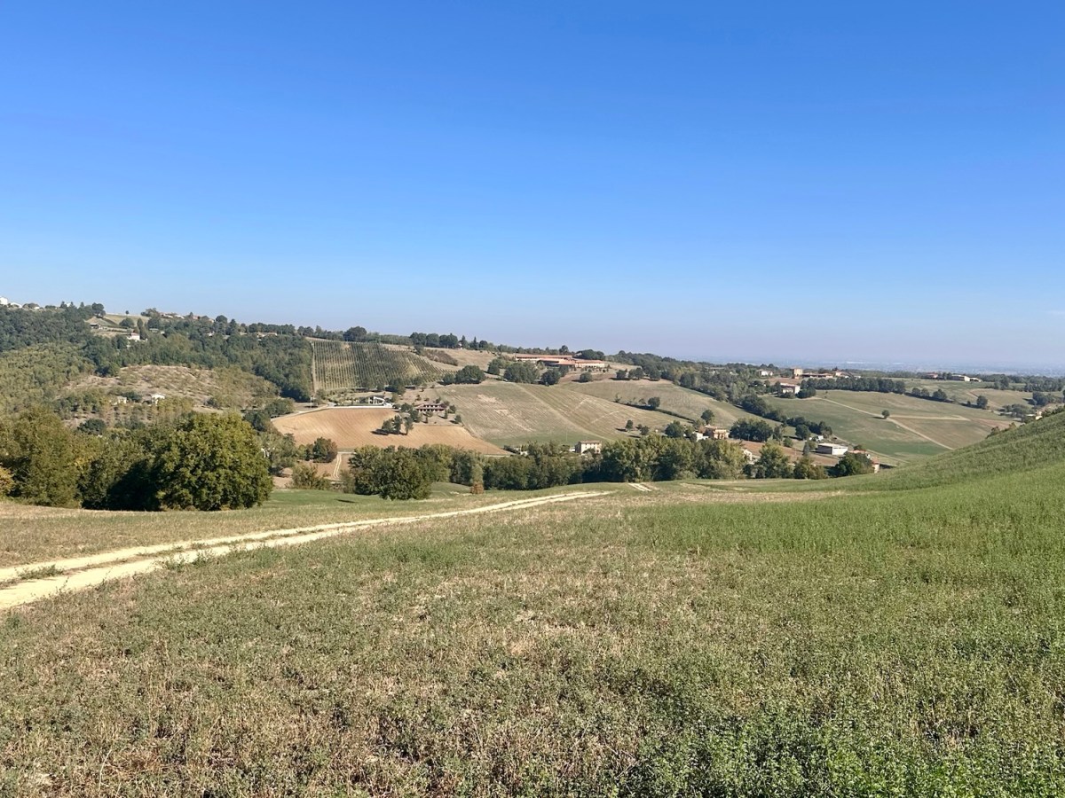Francigena 62 Fidenza –&nbsp;Felegara