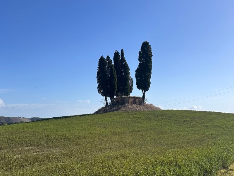 Francigena 76 Siena – Ponte&nbsp;d’Arbia