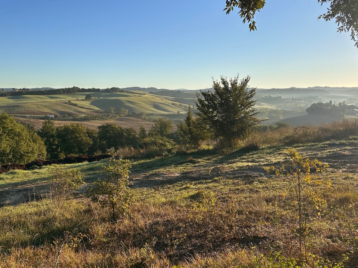 Francigena 77 Ponte d’Arbia – San Quirico&nbsp;d’Orcia